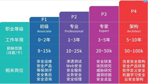 網絡安全綜合實戰 打造網絡與信息安全軟件開發能力